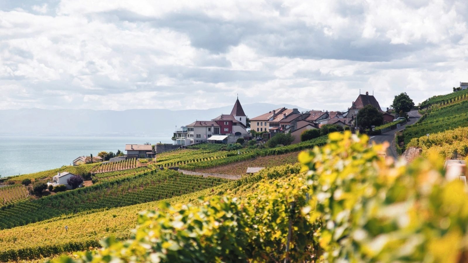 Luxemburger Mosel: Kalk statt Schiefer – das unterschätzte Weinland nebenan